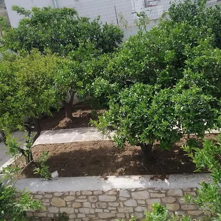 Guest house Aegeon Garden Parikia (Paros)