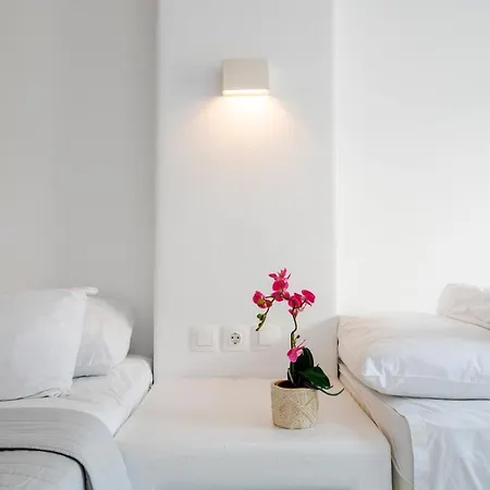 Aegeon Garden Guest house 3*