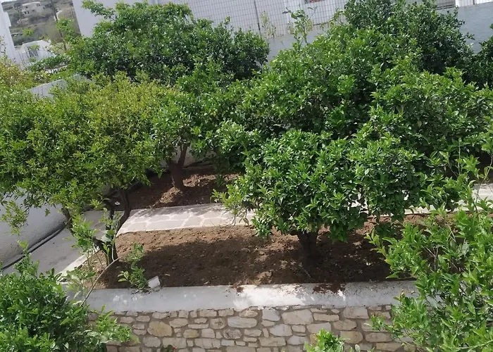 بيت ضيافة Aegeon Garden باروس
