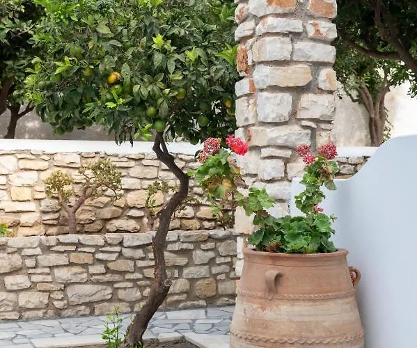 Πανσιόν Aegeon Garden